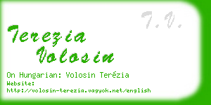 terezia volosin business card
